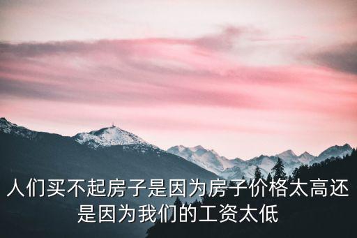 人們買不起房子是因?yàn)榉孔觾r(jià)格太高還是因?yàn)槲覀兊墓べY太低