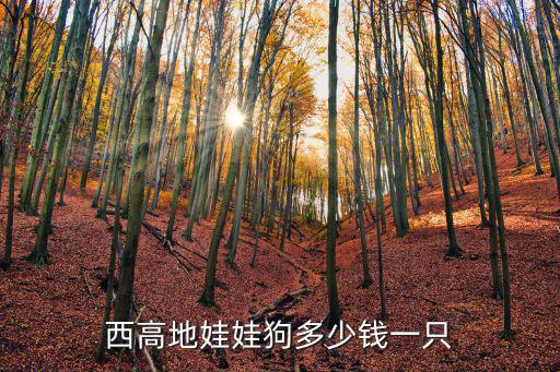 東方力美西高地犬多少錢一只，請問西高地要多少錢