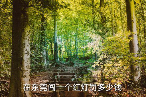 在東莞闖一個紅燈罰多少錢