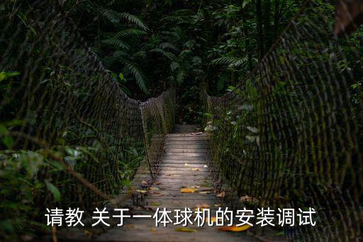 請教 關于一體球機的安裝調試