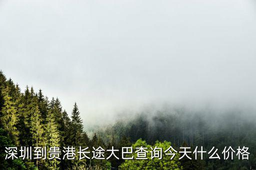 深圳到來鳳的客車，深圳到海南客車票價