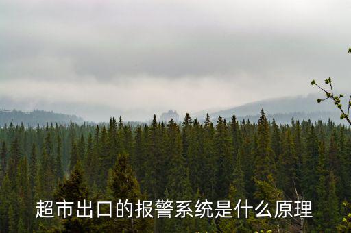 超市出口的報警系統是什么原理