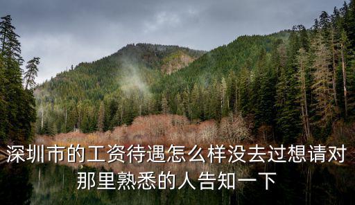 深圳市的工資待遇怎么樣沒去過想請對那里熟悉的人告知一下