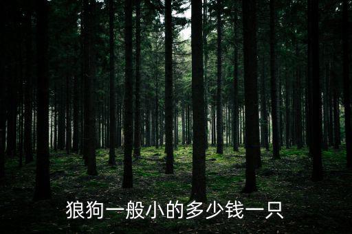 狼狗一般小的多少錢一只