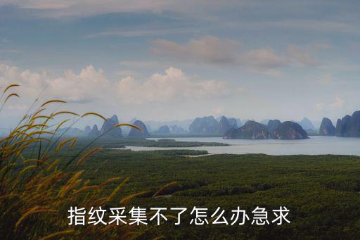 指紋采集不了怎么辦急求