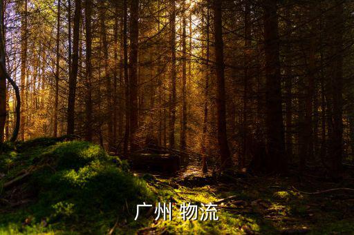 廣州德強(qiáng)物流有限公司，廣州 物流