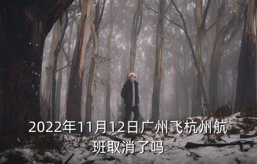 2022年11月12日廣州飛杭州航班取消了嗎