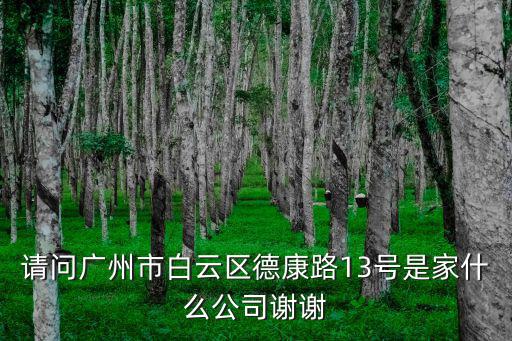 請問廣州市白云區德康路13號是家什么公司謝謝