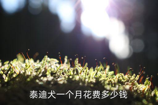 泰迪犬一個月花費多少錢