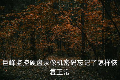 巨峰監控硬盤錄像機密碼忘記了怎樣恢復正常
