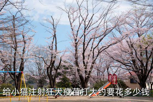 給小貓注射狂犬疫苗打大約要花多少錢