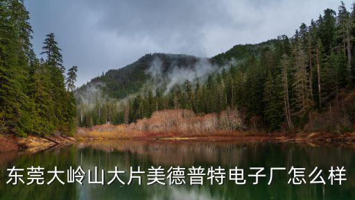 東莞大嶺山德普特地址，東莞大嶺山大片美德普特電子廠怎么樣