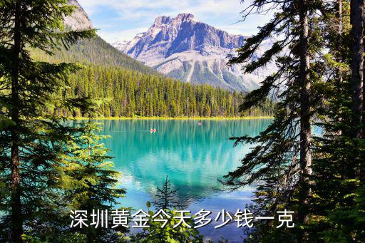深圳一克精品，20130日深圳黃金批發(fā)價(jià)格多少錢一克