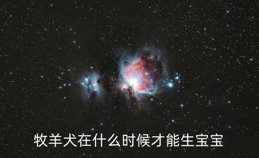牧羊犬在什么時候才能生寶寶