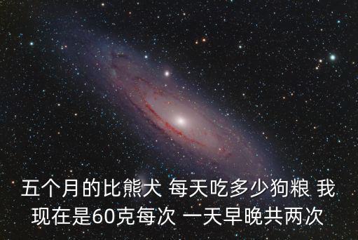 五個月的比熊犬 每天吃多少狗糧 我現在是60克每次 一天早晚共兩次