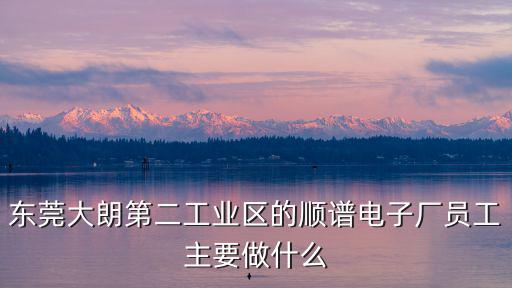 東莞大朗順和合電子廠，誰知道東莞大朗那里有電子廠么