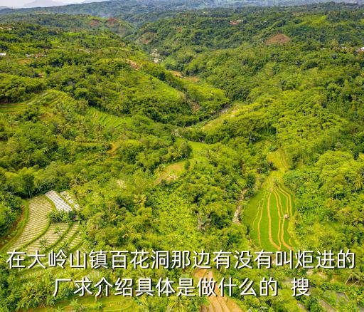 在大嶺山鎮百花洞那邊有沒有叫炬進的廠求介紹具體是做什么的  搜