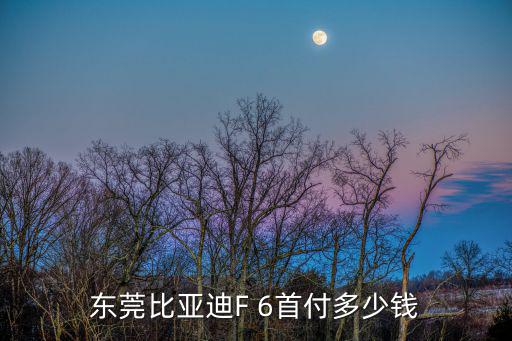 東莞比亞迪F 6首付多少錢