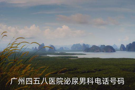 廣州第八醫(yī)院掛號電話號碼是多少，廣州四五八醫(yī)院網(wǎng)上掛號