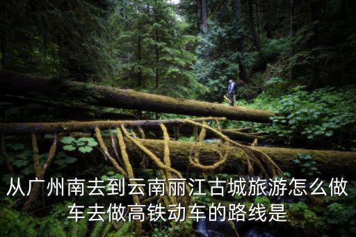 從廣州南去到云南麗江古城旅游怎么做車去做高鐵動車的路線是