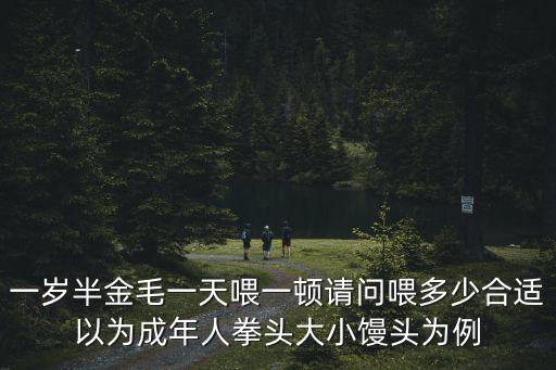 一歲半金毛一天喂一頓請(qǐng)問喂多少合適以為成年人拳頭大小饅頭為例