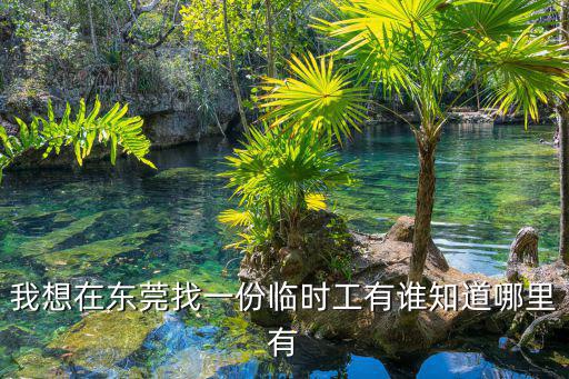 我想在東莞找一份臨時(shí)工有誰知道哪里有