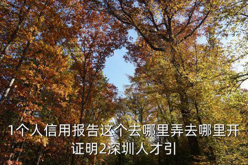 1個人信用報告這個去哪里弄去哪里開證明2深圳人才引