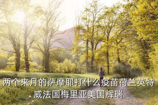 梅里亞疫苗一套多少錢，兩個(gè)來(lái)月的薩摩耶打什么疫苗荷蘭英特威法國(guó)梅里亞美國(guó)輝瑞