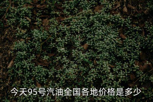 東莞95 汽油批發(fā)價格，今天95號汽油全國各地價格是多少