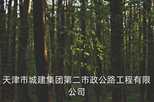 天津市城建集團第二市政公路工程有限公司