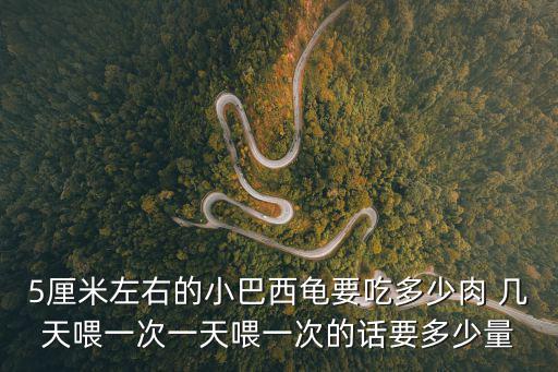 5厘米左右的小巴西龜要吃多少肉 幾天喂一次一天喂一次的話要多少量