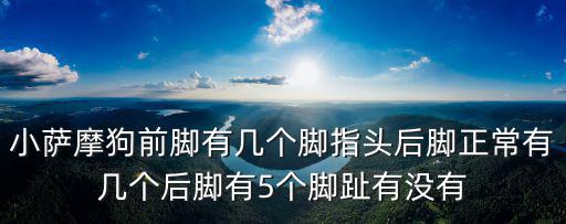 薩摩耶腳趾頭多少個，薩摩耶后腳趾有五個正常嗎