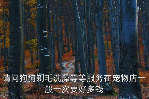 貴賓犬剃毛多少錢，貴賓犬剪毛和洗澡需要多少錢
