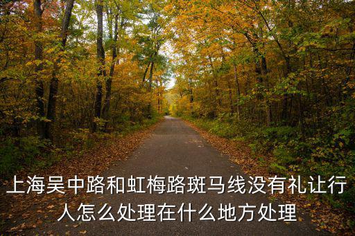 上海吳中路和虹梅路斑馬線沒(méi)有禮讓行人怎么處理在什么地方處理