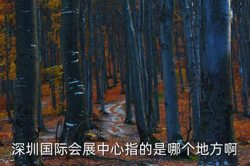 深圳國際會展中心指的是哪個(gè)地方啊