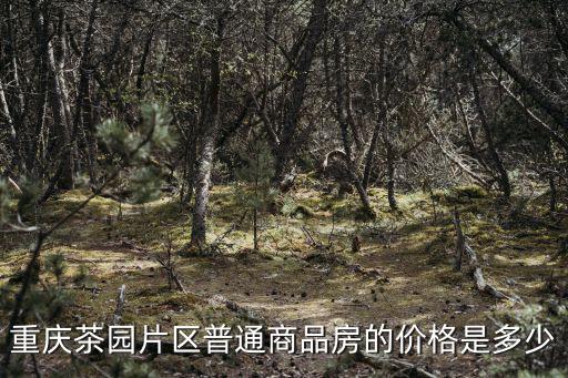 重慶茶園片區普通商品房的價格是多少