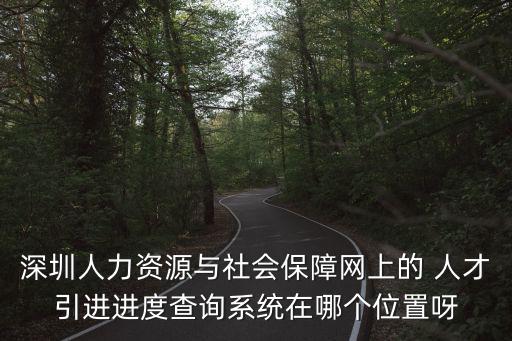 深圳人力資源與社會保障網上的 人才引進進度查詢系統在哪個位置呀