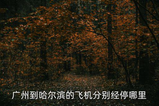 廣州到哈爾濱的飛機(jī)分別經(jīng)停哪里