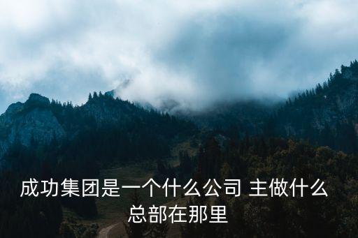 成功集團是一個什么公司 主做什么 總部在那里
