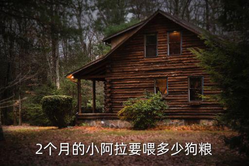 2個(gè)月的小阿拉要喂多少狗糧