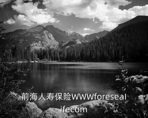 前海人壽保險(xiǎn)WWWforeseaIifecom