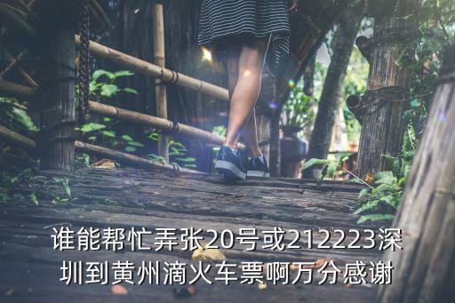 誰能幫忙弄張20號或212223深圳到黃州滴火車票啊萬分感謝