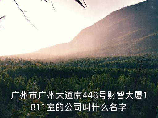 廣州市廣州大道南448號財智大廈1811室的公司叫什么名字