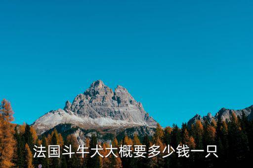 法國斗牛犬大概要多少錢一只