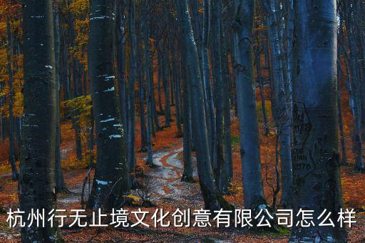 杭州行無止境文化創意有限公司怎么樣