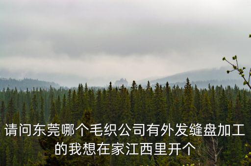 請問東莞哪個毛織公司有外發縫盤加工的我想在家江西里開個