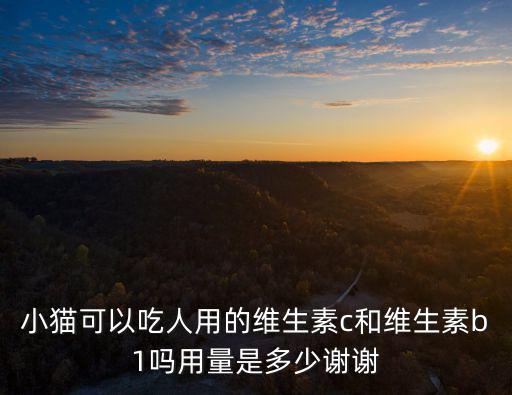 貓吃多少維生素C粉，四個月大的貓咪一天吃多少復(fù)合維生素b