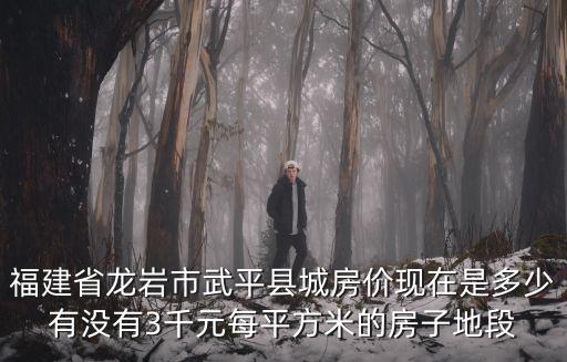 福建省龍巖市武平縣城房價現在是多少有沒有3千元每平方米的房子地段