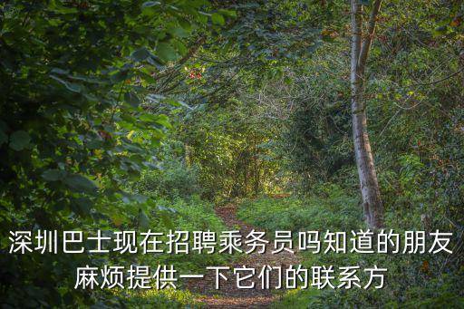深圳巴士現(xiàn)在招聘乘務(wù)員嗎知道的朋友麻煩提供一下它們的聯(lián)系方