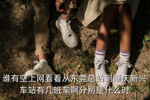 誰有空上網看看從東莞總站到肇慶新興車站有幾班車啊分別是什么時